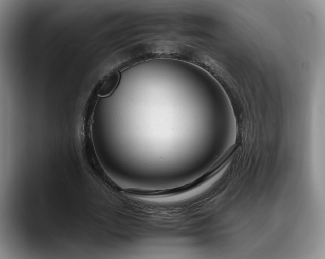 X0000090600727200707171332