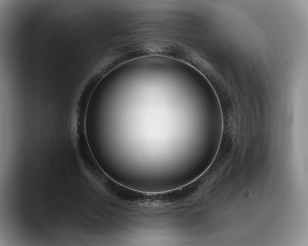 X0000090600730200707171332