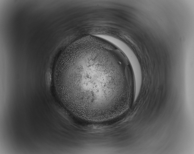 X0000090600733200707171332