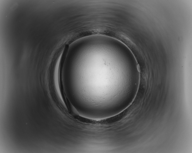 X0000090600734200707171332