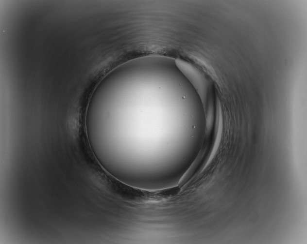 X0000090600736200707171332