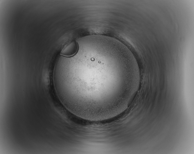 X0000090600738200707171332