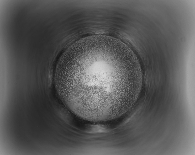 X0000090600741200707171332