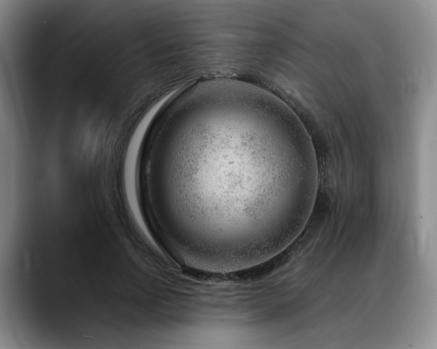 X0000090600742200707171332