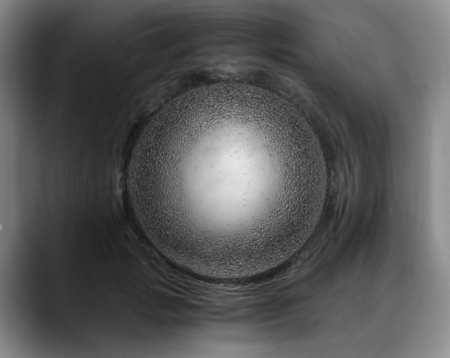 X0000090600749200707171332