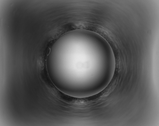 X0000090600751200707171332