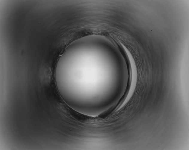 X0000090600752200707171332