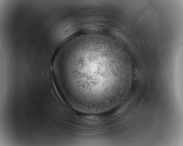 X0000090600753200707171332