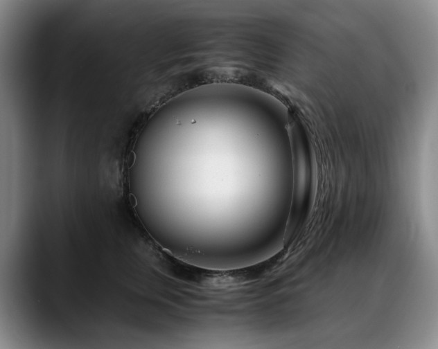 X0000090600759200707171332