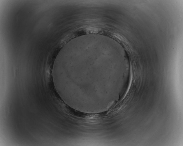 X0000090600761200707171332