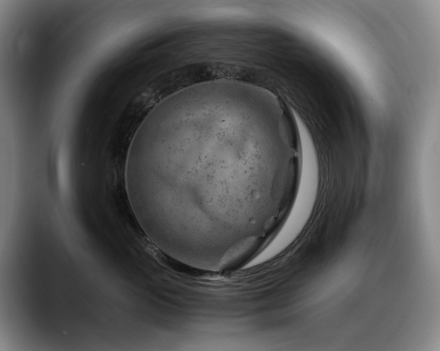 X0000090600765200707171332
