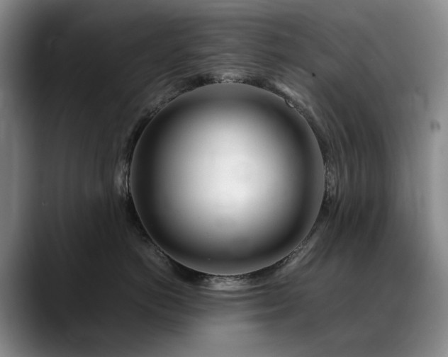 X0000090600766200707171333