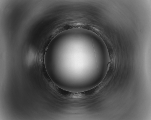 X0000090600767200707171333