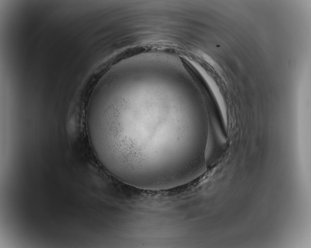 X0000090600775200707171332