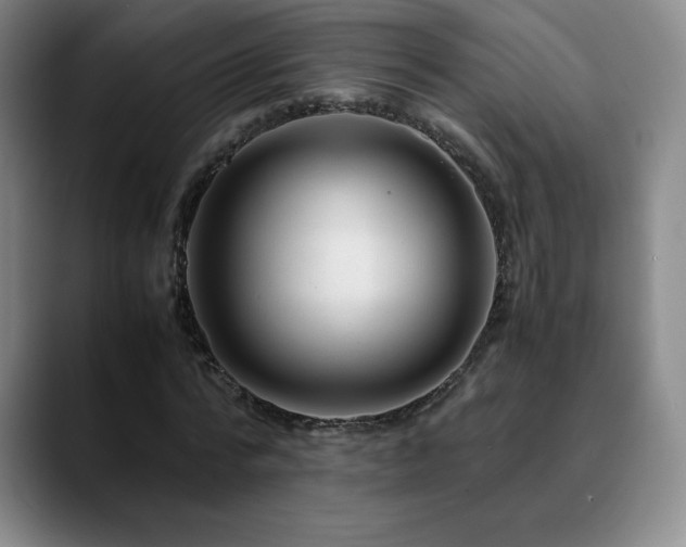 X0000090600776200707171332