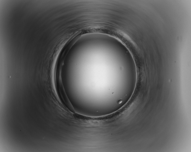 X0000090600777200707171332