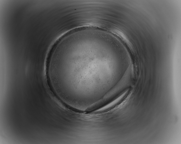 X0000090600780200707171332