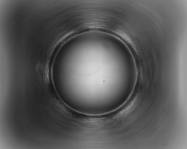 X0000090600782200707171332