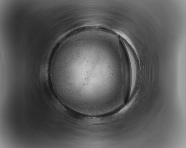 X0000090600783200707171332