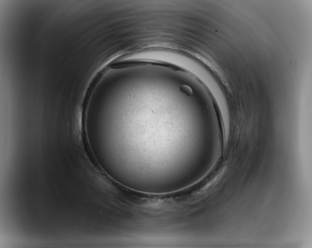X0000090600790200707171332