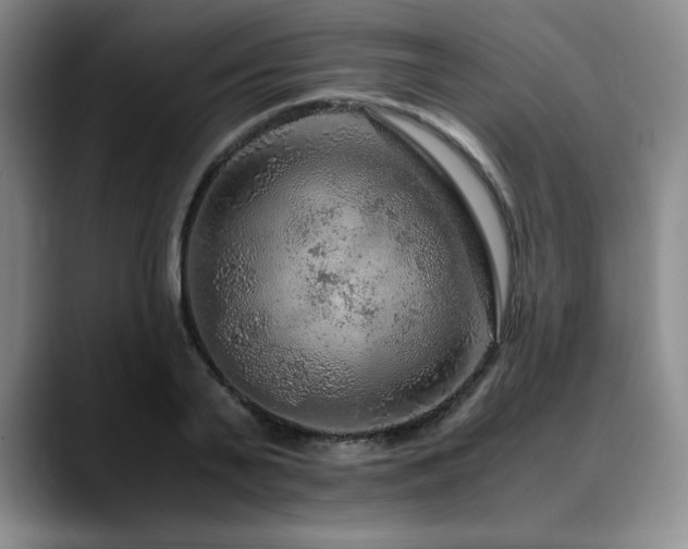 X0000090600791200707171332
