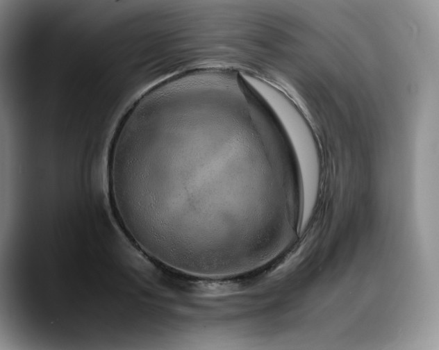X0000090600795200707171332