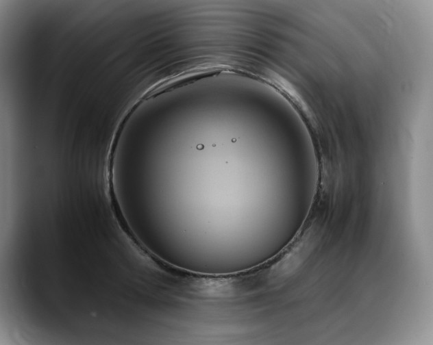 X0000090600802200707171332