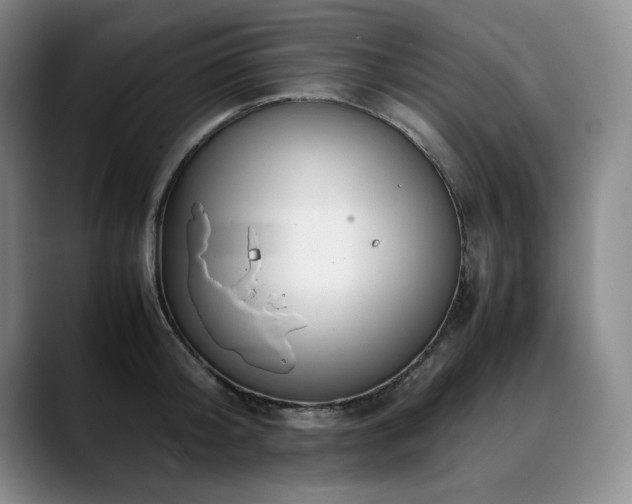 X0000090600804200707171332