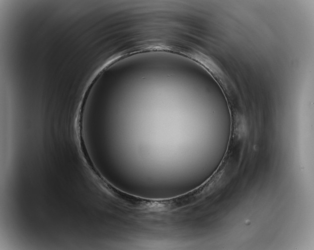 X0000090600806200707171332