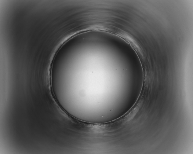 X0000090600808200707171332