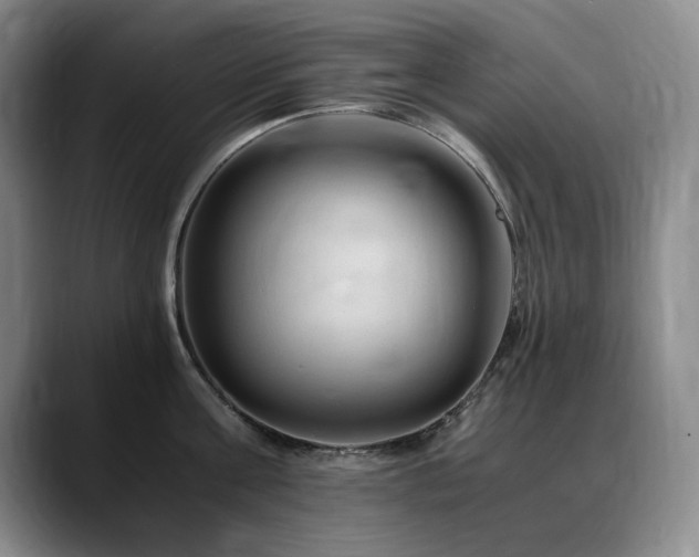 X0000090600811200707171331