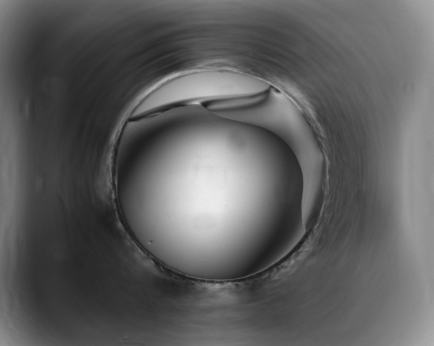 X0000090600816200707171331