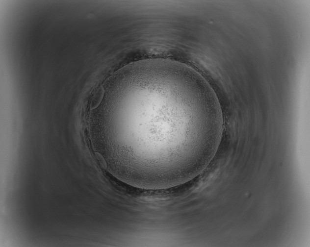 X0000090600817200707171331