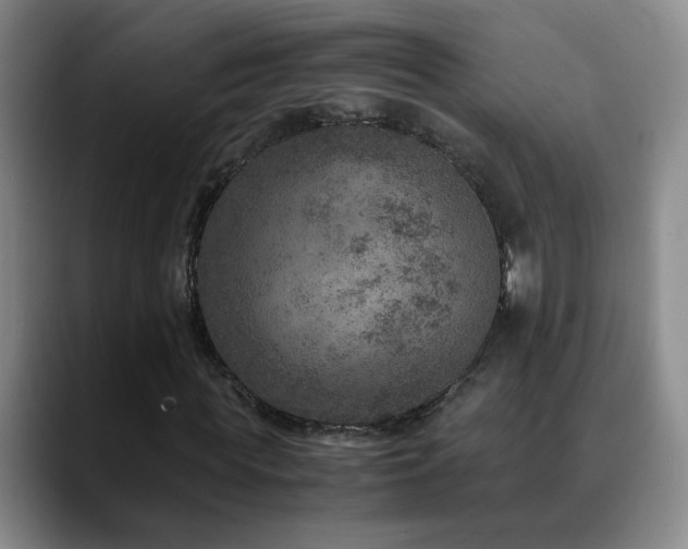 X0000090600819200707171331