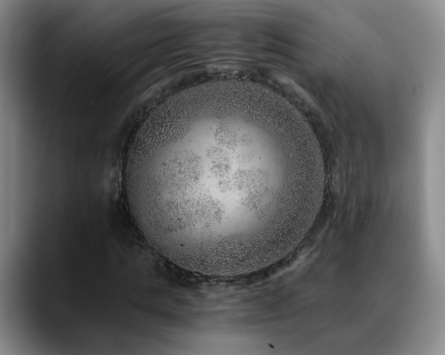 X0000090600821200707171331