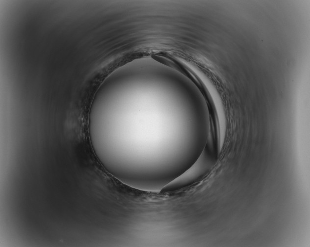 X0000090600822200707171331