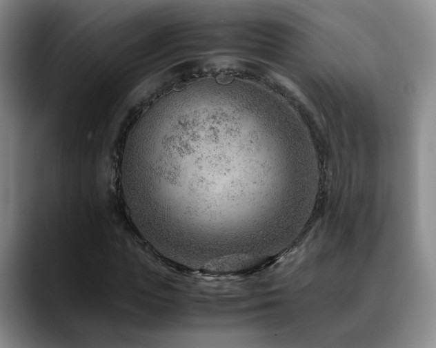 X0000090600823200707171331