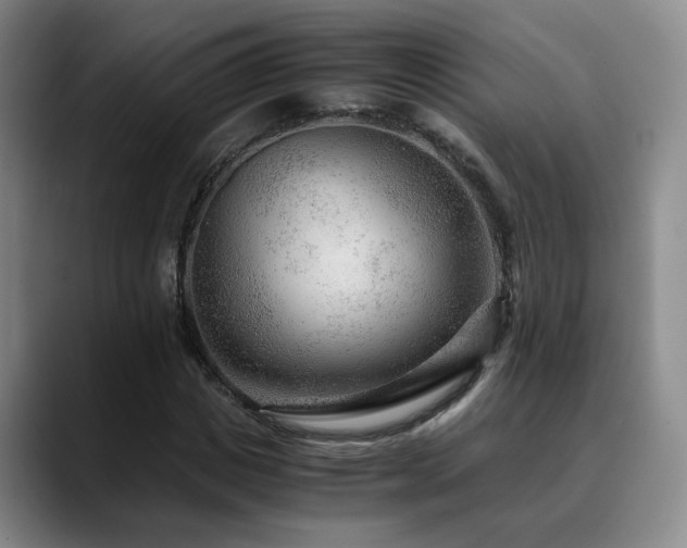 X0000090600825200707171331