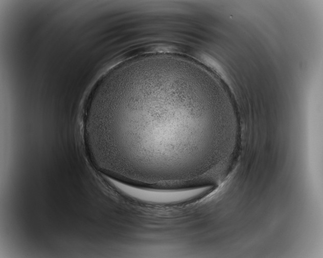 X0000090600827200707171331