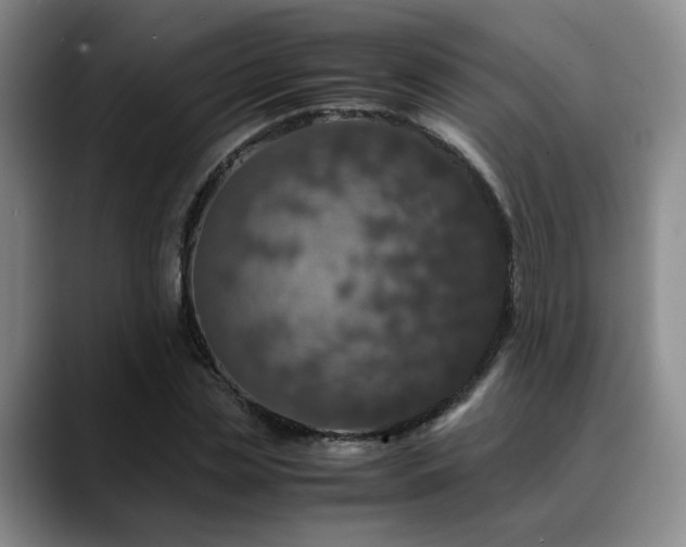 X0000090600829200707171331