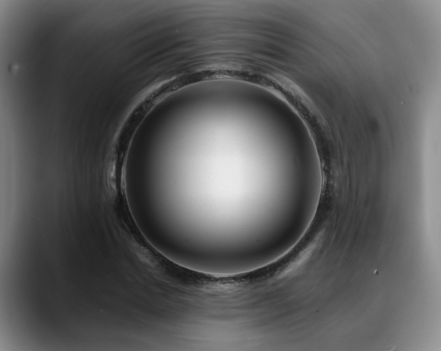 X0000090600830200707171331