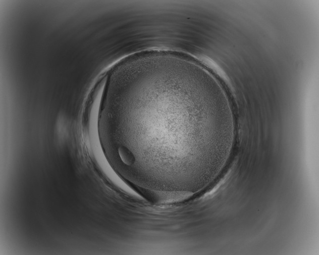 X0000090600831200707171331
