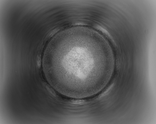 X0000090600833200707171331