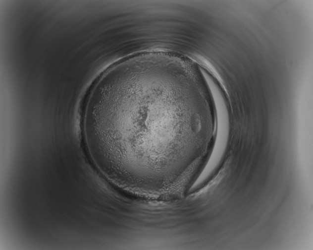 X0000090600835200707171331
