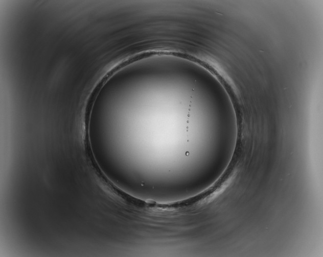 X0000090600837200707171331
