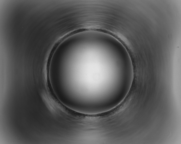 X0000090600840200707171331