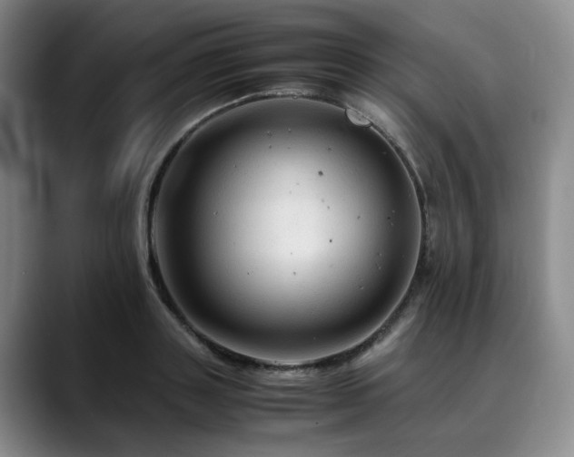 X0000090600843200707171331