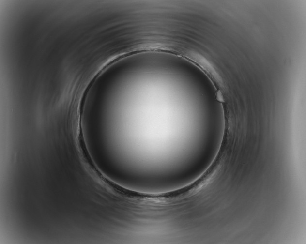 X0000090600844200707171331