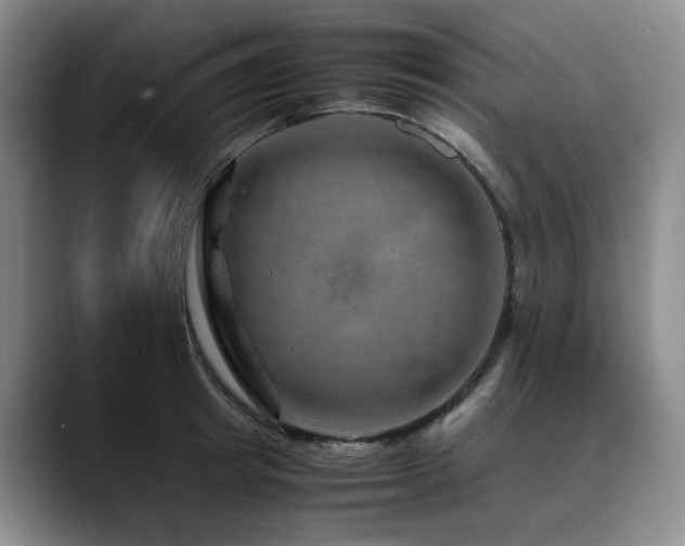 X0000090600849200707171331