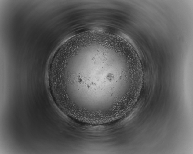 X0000090600851200707171331